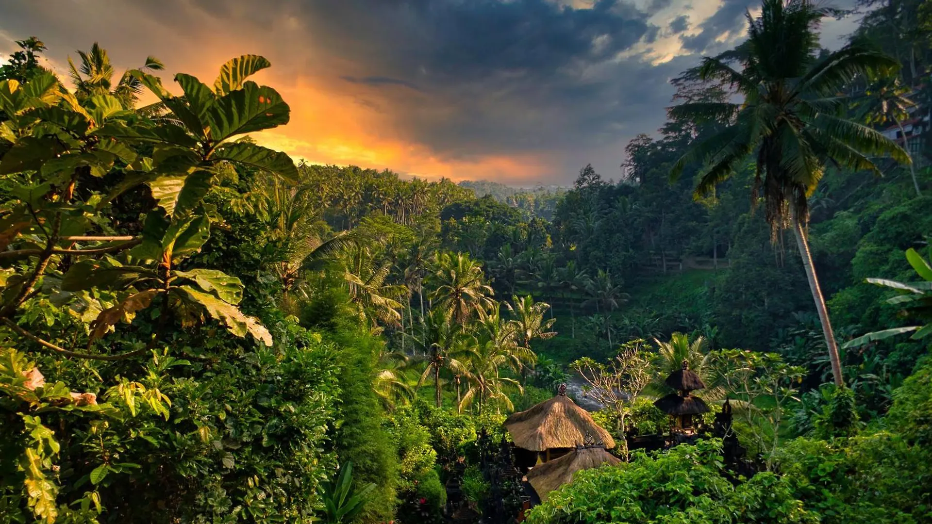 1A Heaven View Apartment Ubud  Indonesia